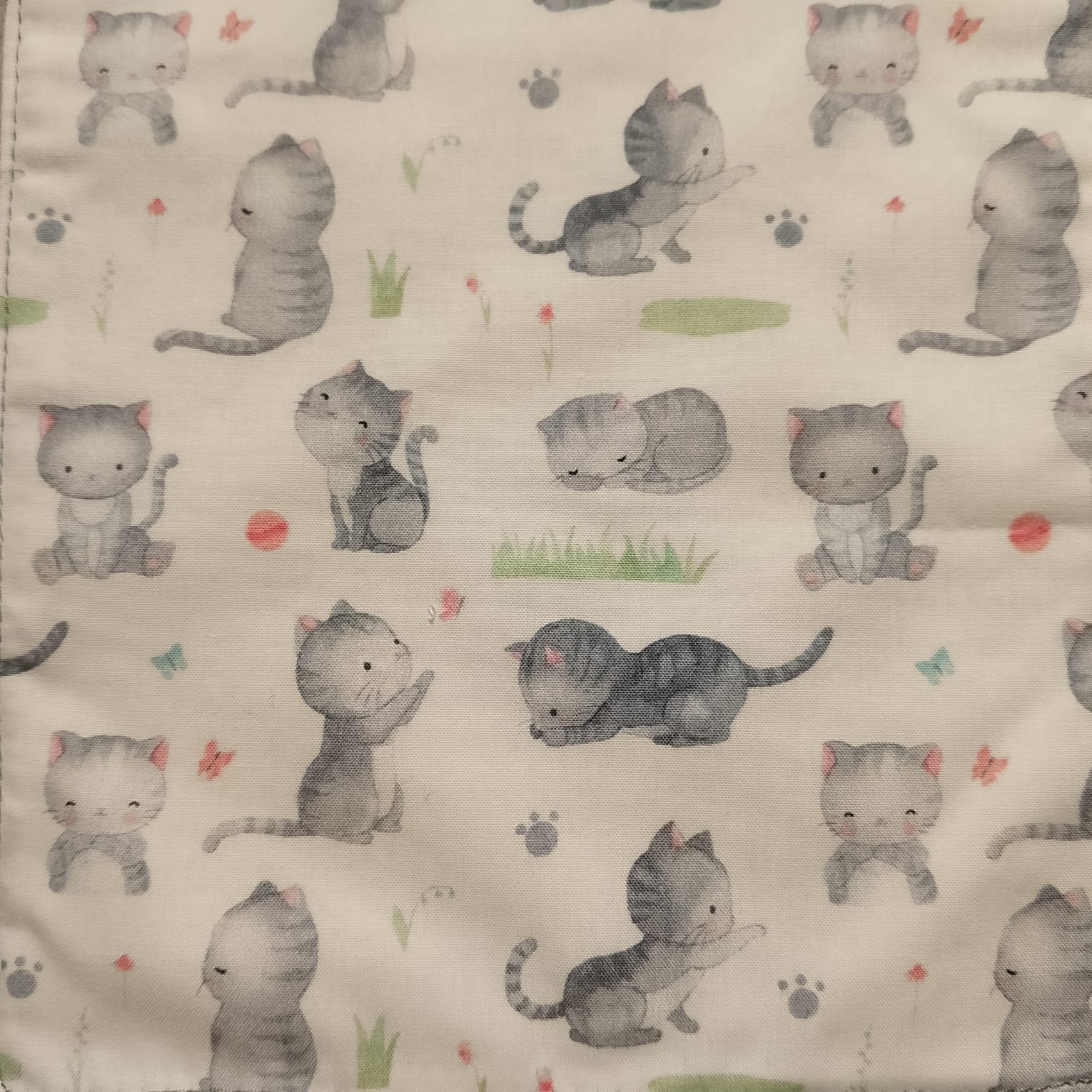 Gatitos Juguetones